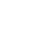 Lotus Icon